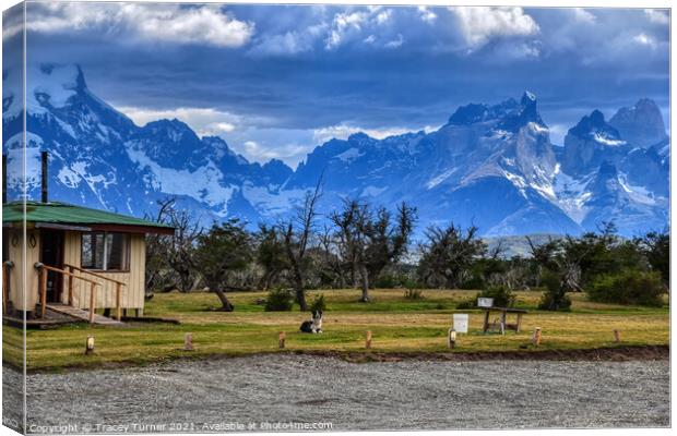 'On Guard' - A Dog on lookout in Patagonia, Chile Canvas Print by Tracey Turner