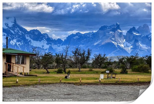 'On Guard' - A Dog on lookout in Patagonia, Chile Print by Tracey Turner