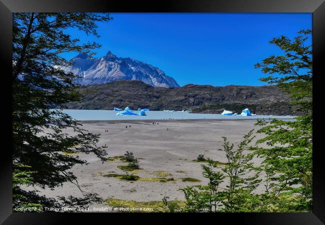 'View to Lake Grey' - Glacial lake in Patagonia, C Framed Print by Tracey Turner