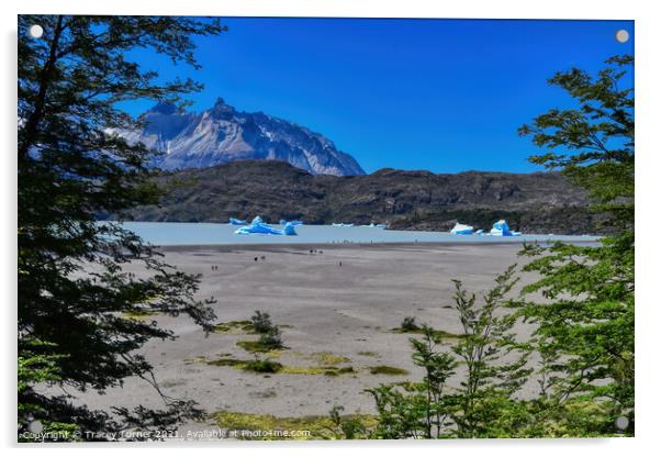 'View to Lake Grey' - Glacial lake in Patagonia, C Acrylic by Tracey Turner