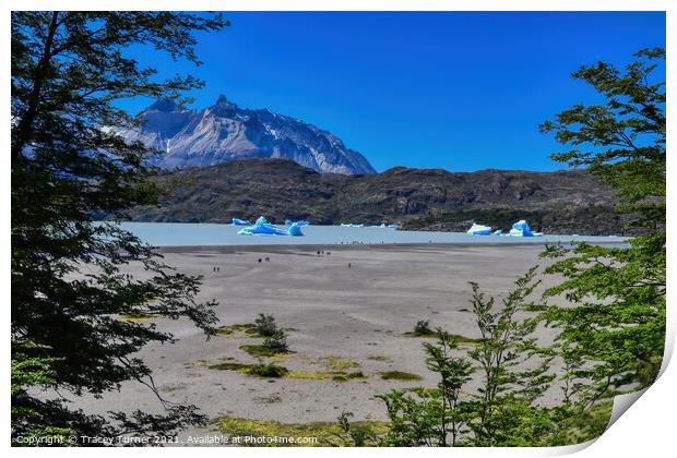 'View to Lake Grey' - Glacial lake in Patagonia, C Print by Tracey Turner