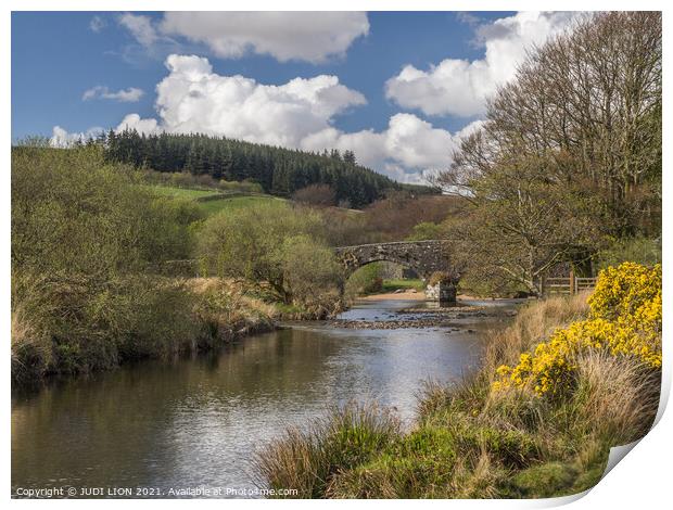 East Dart River at Two Bridges Print by JUDI LION