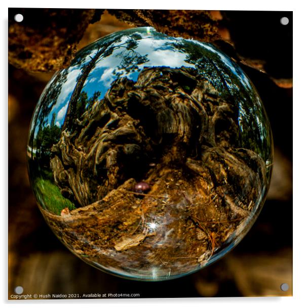 Lensball Acrylic by Hush Naidoo