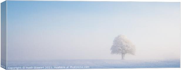 Solitary Tree in Snow Canvas Print by Heidi Stewart