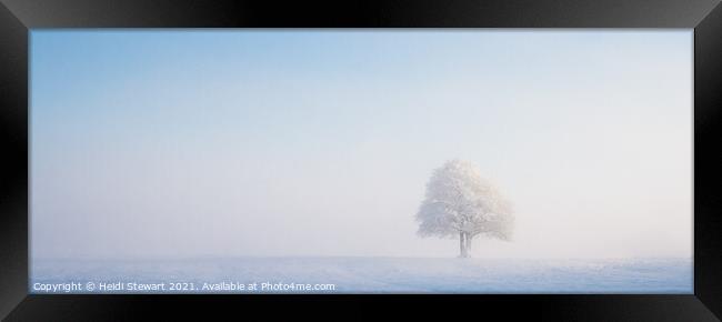 Solitary Tree in Snow Framed Print by Heidi Stewart