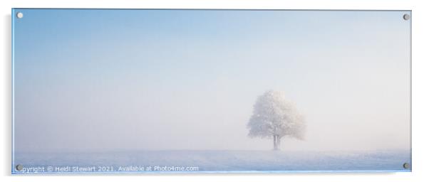 Solitary Tree in Snow Acrylic by Heidi Stewart