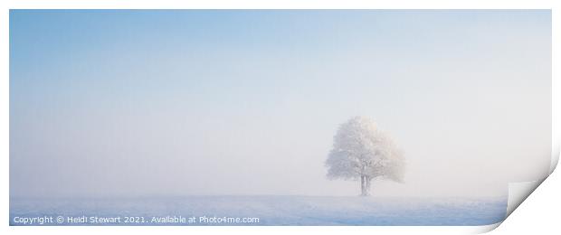 Solitary Tree in Snow Print by Heidi Stewart