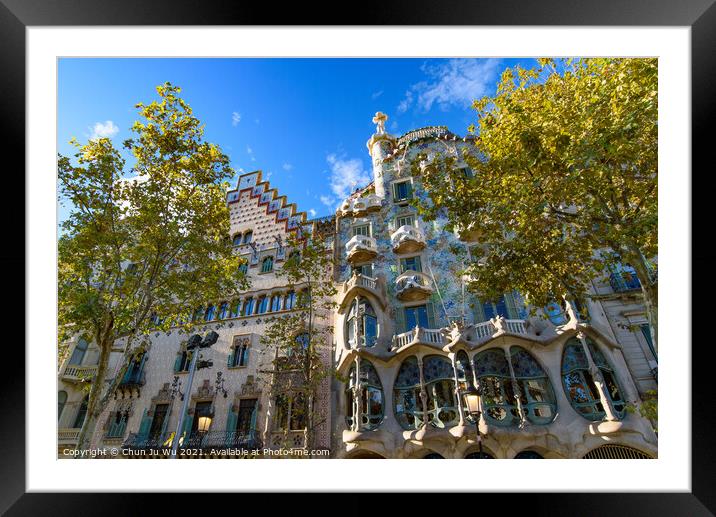 Casa Batlló, designed by Gaudi, in Barcelona, Spain Framed Mounted Print by Chun Ju Wu