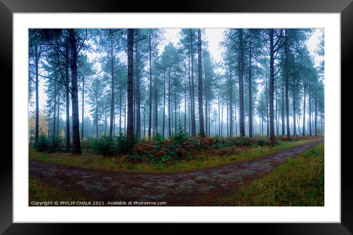 Misty woodland 374  Framed Mounted Print by PHILIP CHALK