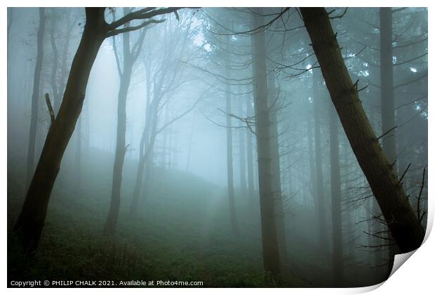 Misty woodland scene 375  Print by PHILIP CHALK