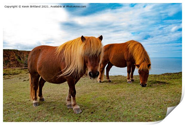 wild ponies grazing Print by Kevin Britland