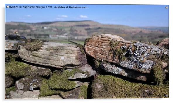 Dry Stone  Wall Acrylic by Angharad Morgan