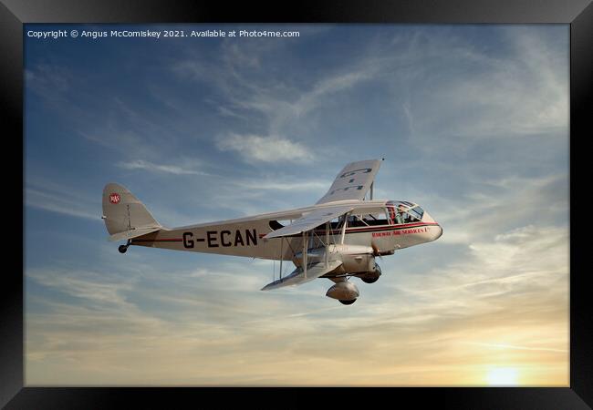 De Havilland DH-84 Dragon Framed Print by Angus McComiskey