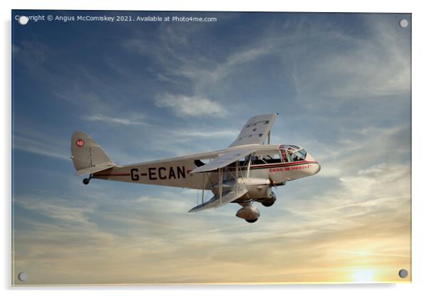 De Havilland DH-84 Dragon Acrylic by Angus McComiskey