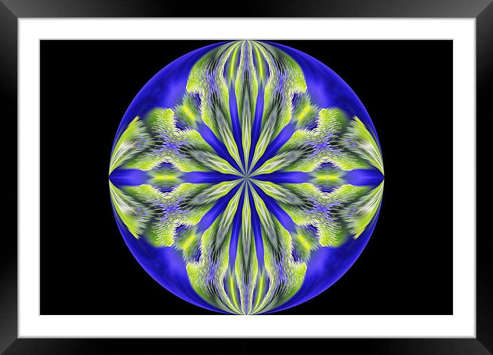 Royal Abstract Framed Mounted Print by Donna Collett