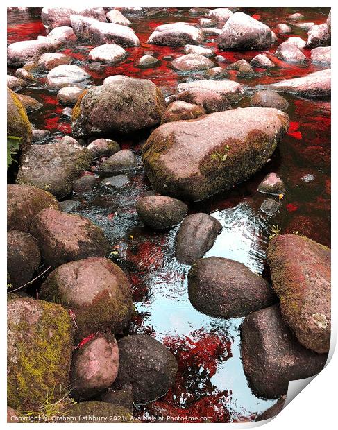 Rock Pools, Lake District Print by Graham Lathbury