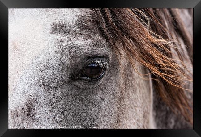 eye of the beholder Framed Print by Russell Mander