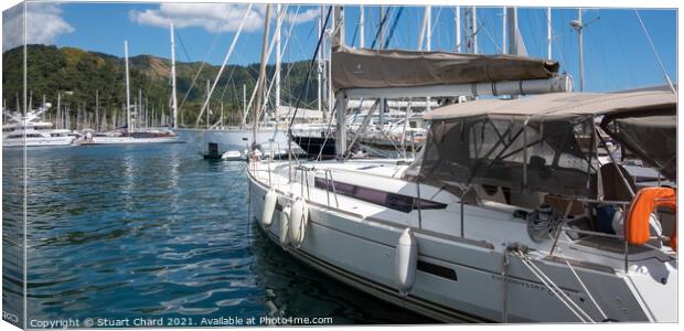 Yachts moored in a marina Canvas Print by Stuart Chard