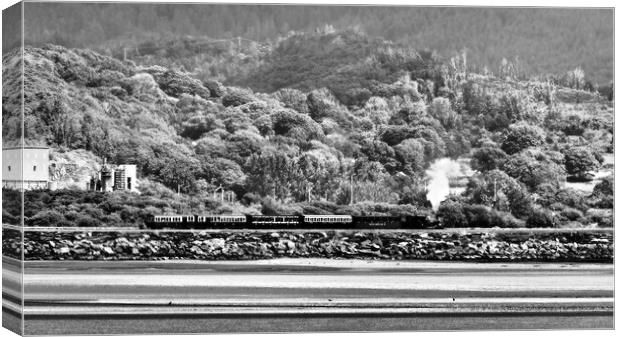 Steam Train North Wales Canvas Print by mark humpage