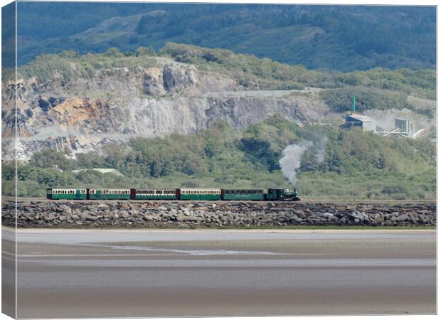 Steam Train North Wales Canvas Print by mark humpage