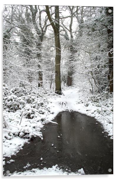 snow in pudsey woods clacton Acrylic by Michael bryant Tiptopimage