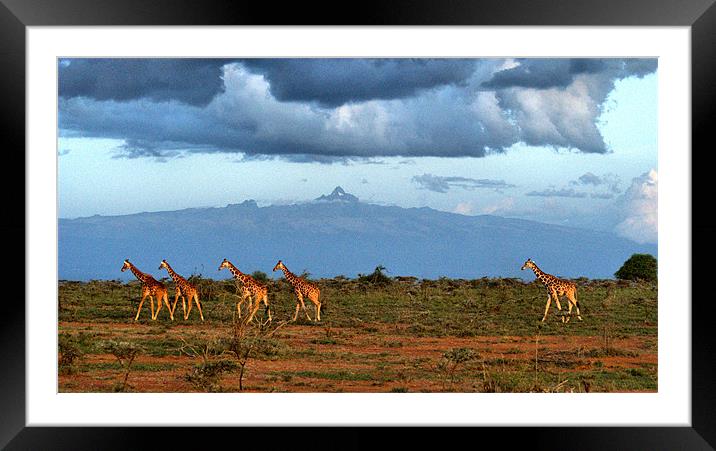 Mt Kenya Framed Mounted Print by John Russell