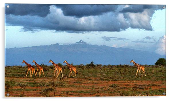 Mt Kenya Acrylic by John Russell