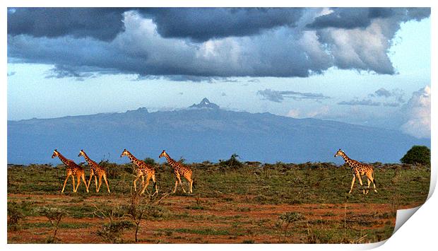 Mt Kenya Print by John Russell