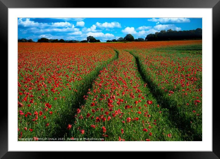 Poppy field with tractor tracks 378  Framed Mounted Print by PHILIP CHALK