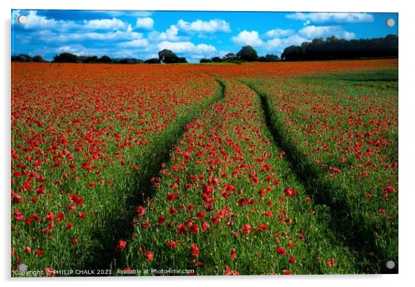 Poppy field with tractor tracks 378  Acrylic by PHILIP CHALK