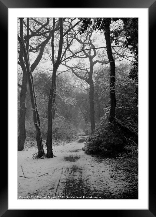 snow in forest Framed Mounted Print by Michael bryant Tiptopimage