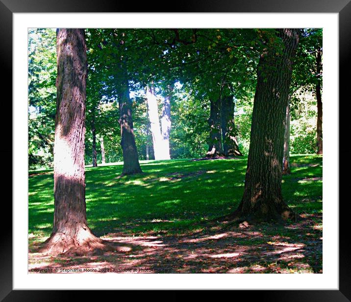 Trees at Rideau Hall, the Governor General's residence, Ottawa, ON Framed Mounted Print by Stephanie Moore