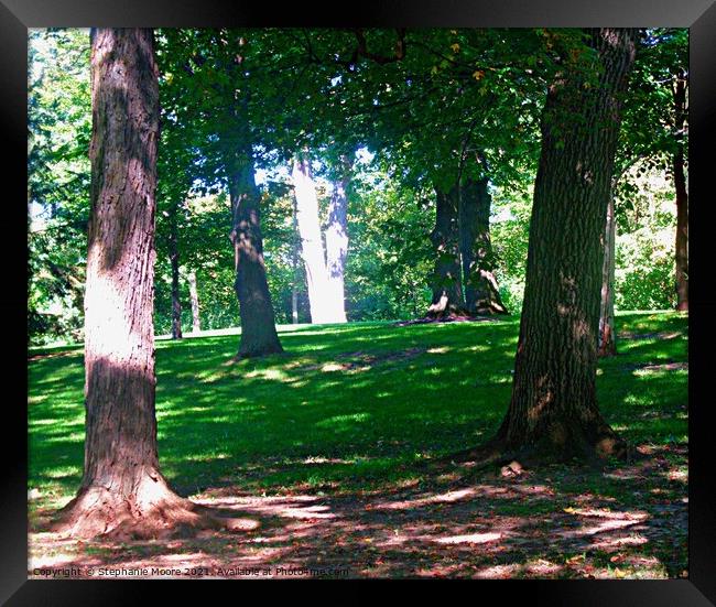 Trees at Rideau Hall, the Governor General's residence, Ottawa, ON Framed Print by Stephanie Moore