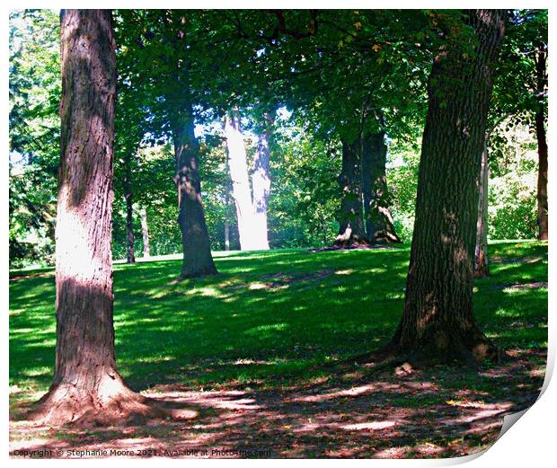 Trees at Rideau Hall, the Governor General's residence, Ottawa, ON Print by Stephanie Moore