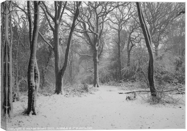 snow in pudsey forest in clacton Canvas Print by Michael bryant Tiptopimage