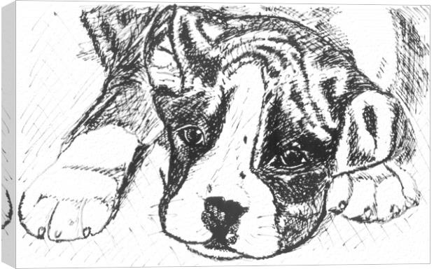 Boxer Pup Drawing in Black Ink Canvas Print by Terry Senior