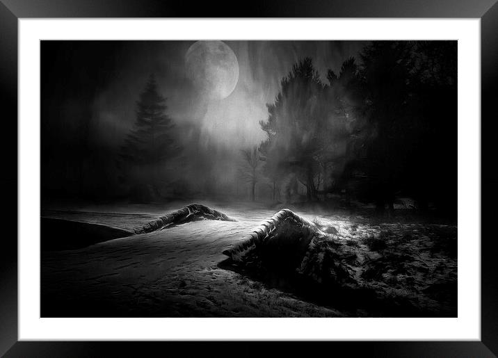 If you go into the Woods Tonight Framed Mounted Print by David Mccandlish