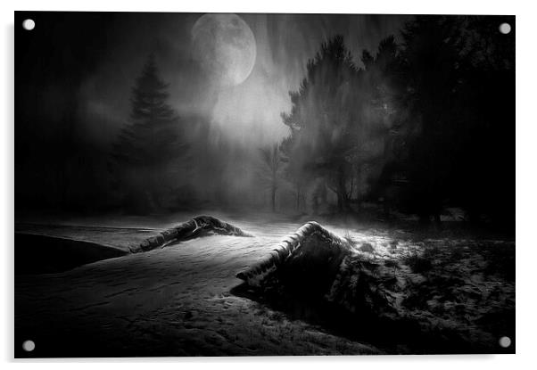 If you go into the Woods Tonight Acrylic by David Mccandlish