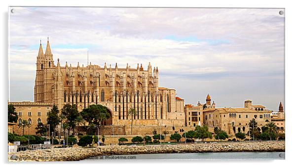 Mallorca Palma Cathedral Acrylic by Peter F Hunt