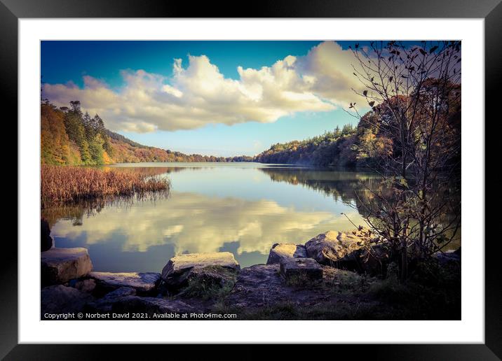 Serene Irish Forest Lake Framed Mounted Print by Norbert David