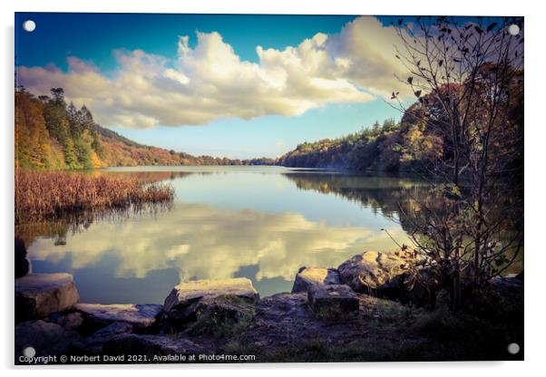 Serene Irish Forest Lake Acrylic by Norbert David