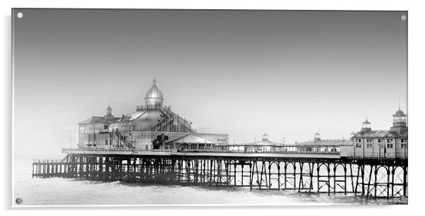 Eastbourne Pier Acrylic by Mike Sherman Photog