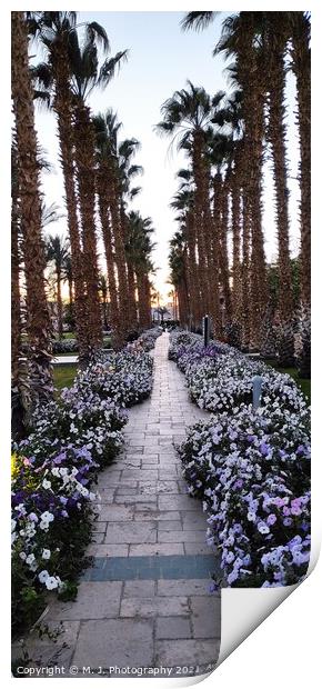 Outdoor paradise path Print by M. J. Photography