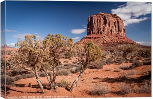 Monument Valley #4 Canvas Print by Peter O'Reilly