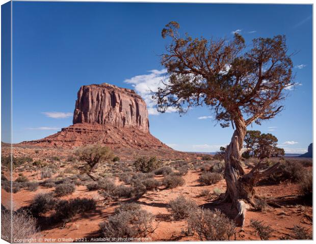 Monument Valley #5 Canvas Print by Peter O'Reilly