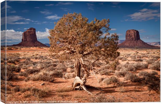 Monument Valley #2 Canvas Print by Peter O'Reilly