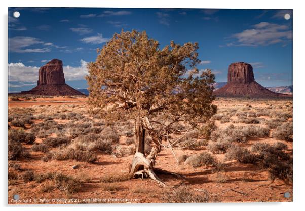 Monument Valley #2 Acrylic by Peter O'Reilly