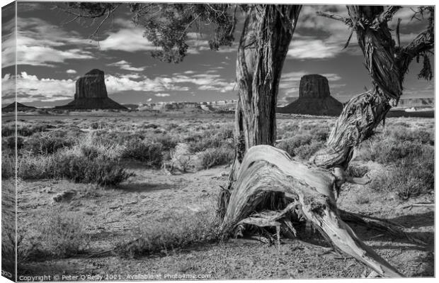 Monument Valley #3 Canvas Print by Peter O'Reilly
