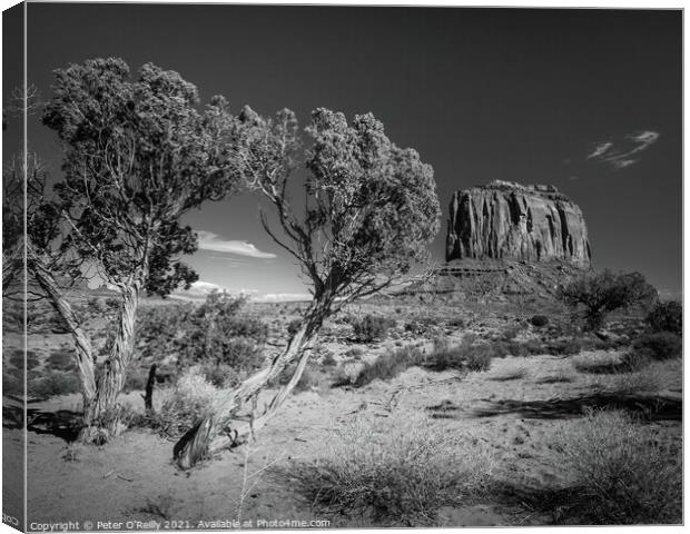 Monument Valley #7 Canvas Print by Peter O'Reilly