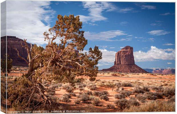 Monument Valley #1 Canvas Print by Peter O'Reilly